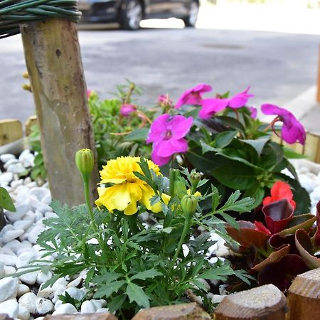 Hotel Crisvan Rimini Dış mekan fotoğraf